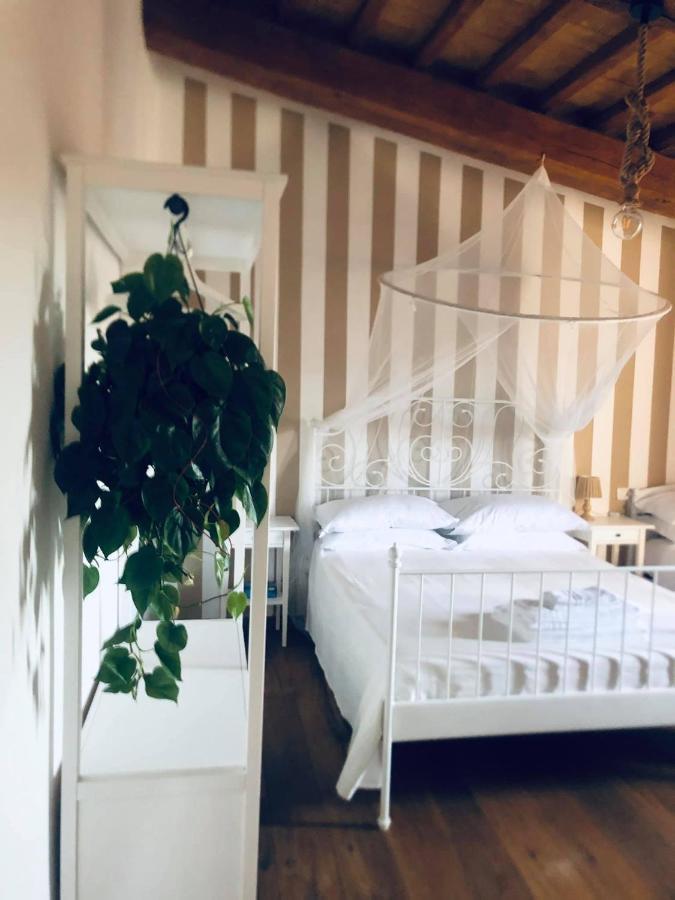 Ab B&B Ischia di Castro Exteriör bild