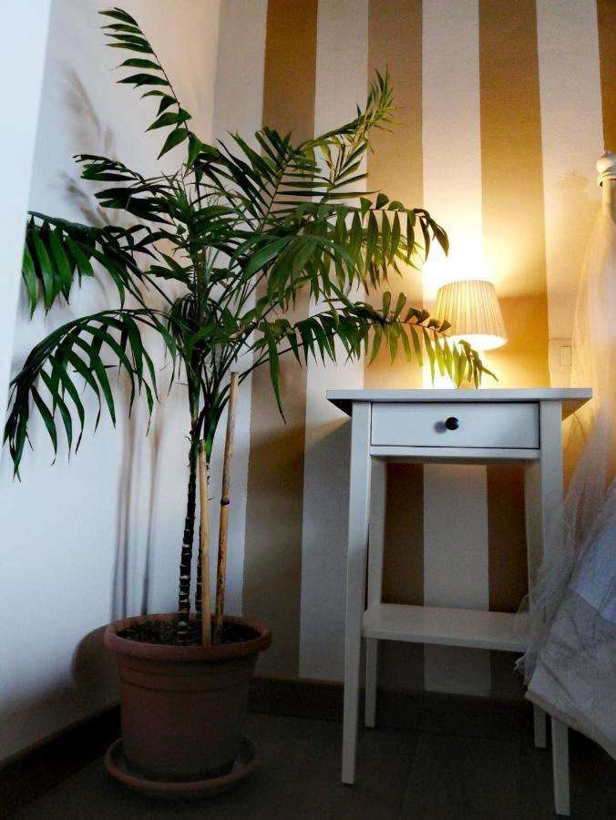Ab B&B Ischia di Castro Exteriör bild